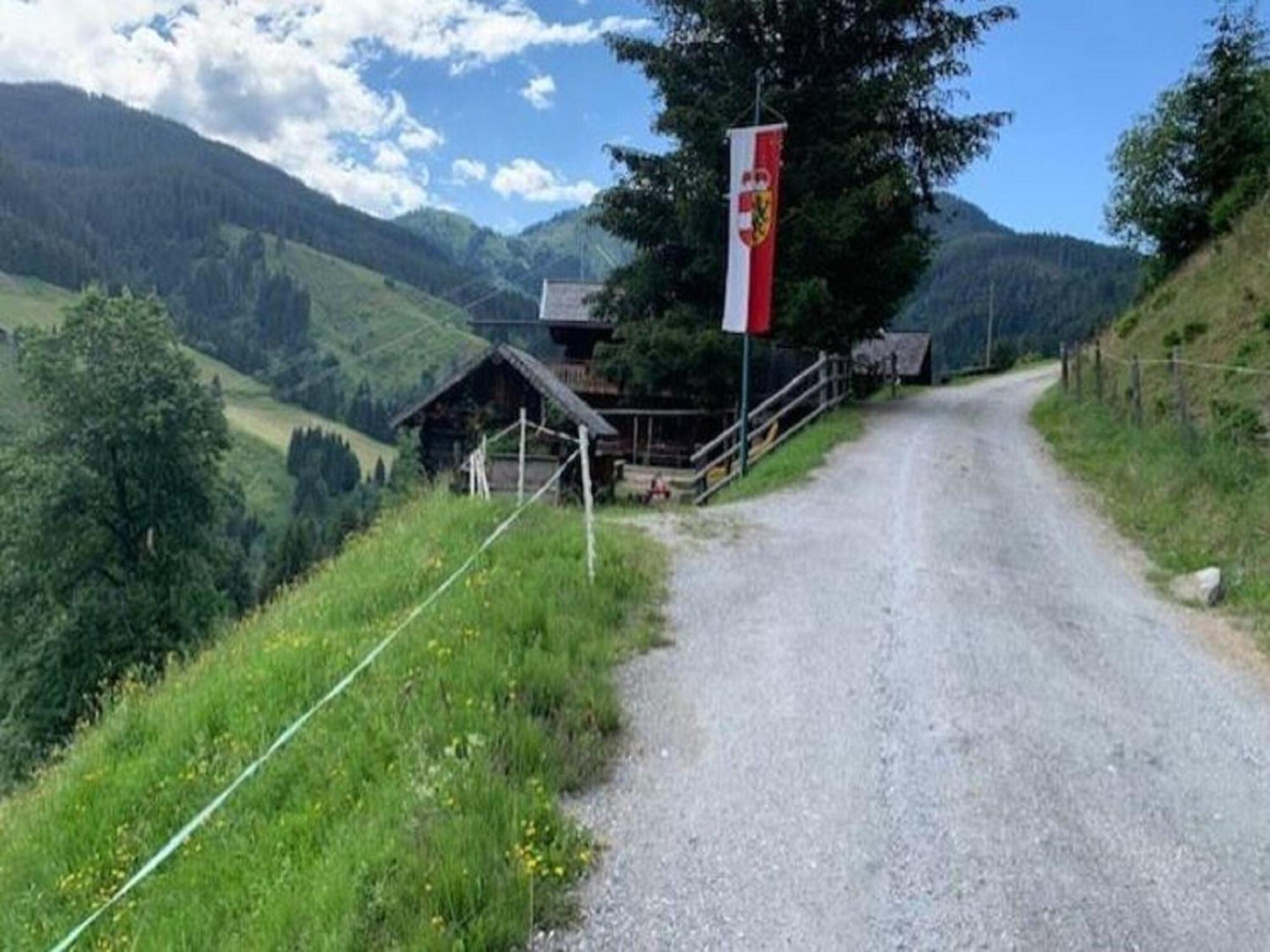 Quaint Mansion Near Ski Bus In ゴールデック エクステリア 写真